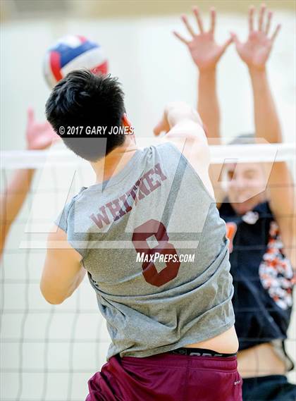 Thumbnail 1 in Roseville @ Whitney photogallery.