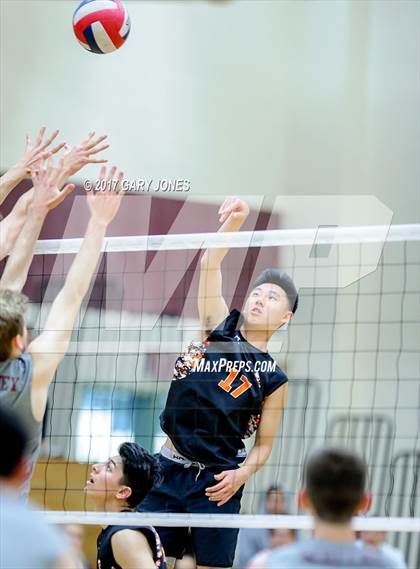 Thumbnail 2 in Roseville @ Whitney photogallery.