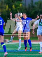 Photo from the gallery "McIntosh @ Chamblee"
