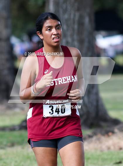 Thumbnail 1 in Cardinal-Tiger(Invitational) photogallery.
