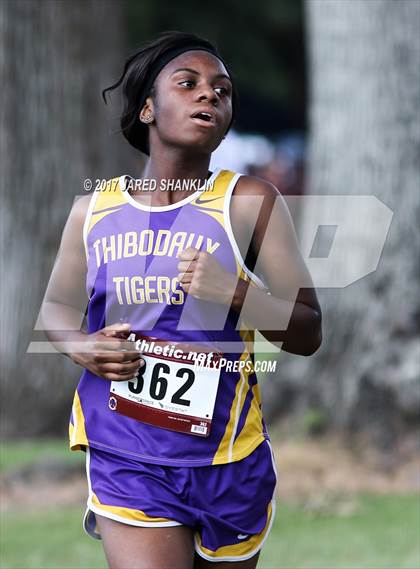Thumbnail 2 in Cardinal-Tiger(Invitational) photogallery.