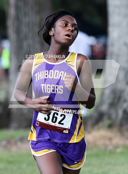 Thumbnail 1 in Cardinal-Tiger(Invitational) photogallery.