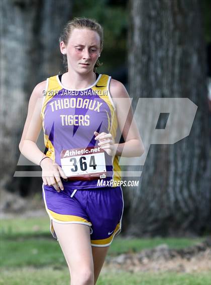 Thumbnail 3 in Cardinal-Tiger(Invitational) photogallery.