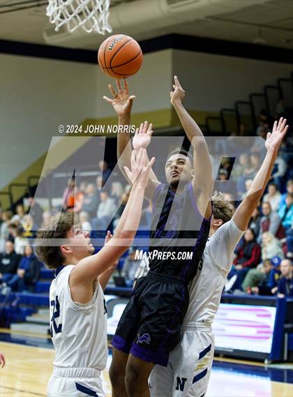 Thumbnail 1 in Leo @ Norwell photogallery.