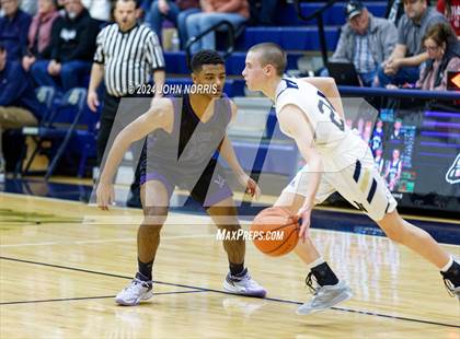 Thumbnail 2 in Leo @ Norwell photogallery.