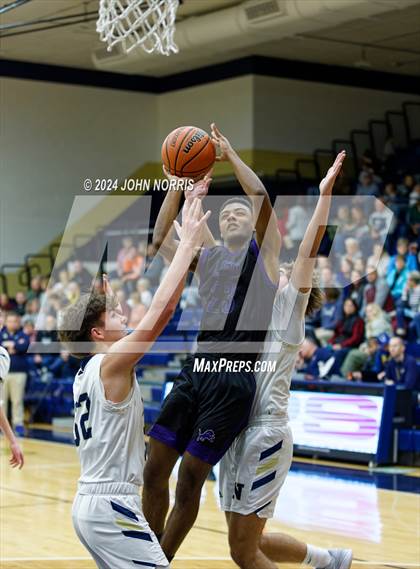 Thumbnail 3 in Leo @ Norwell photogallery.