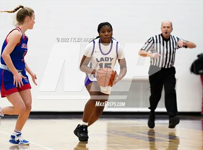 Thumbnail 2 in Roncalli @ Ben Davis photogallery.
