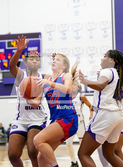 Thumbnail 2 in Roncalli @ Ben Davis photogallery.