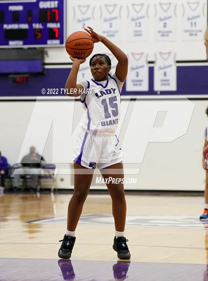 Thumbnail 2 in Roncalli @ Ben Davis photogallery.