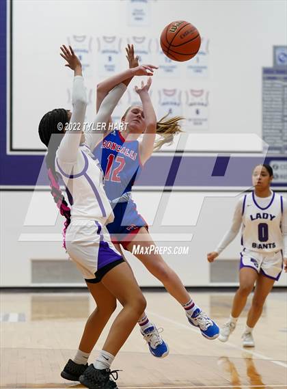 Thumbnail 2 in Roncalli @ Ben Davis photogallery.