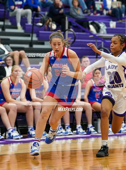 Thumbnail 2 in Roncalli @ Ben Davis photogallery.