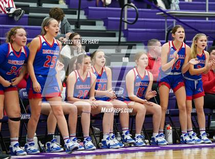 Thumbnail 1 in Roncalli @ Ben Davis photogallery.