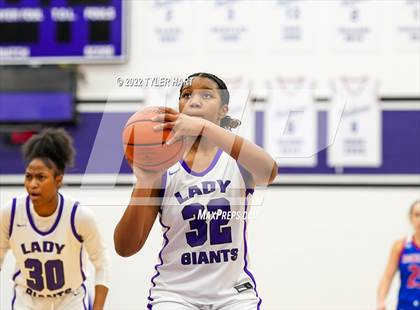 Thumbnail 1 in Roncalli @ Ben Davis photogallery.