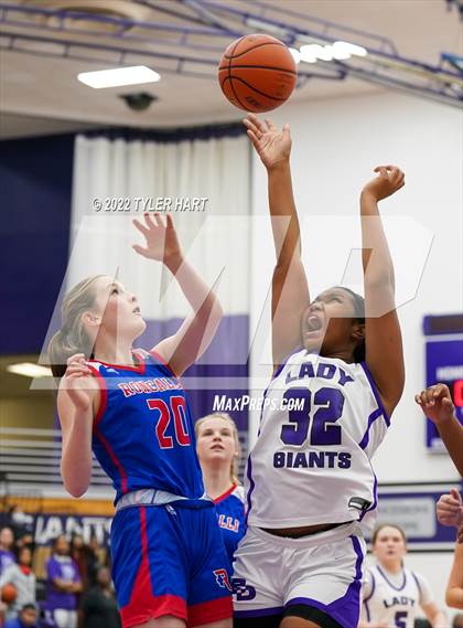 Thumbnail 1 in Roncalli @ Ben Davis photogallery.