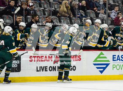 Thumbnail 2 in Morris Knolls vs Hillsborough (NJSIAA Public A Final) photogallery.