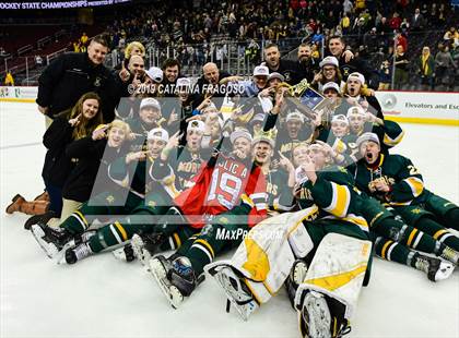 Thumbnail 2 in Morris Knolls vs Hillsborough (NJSIAA Public A Final) photogallery.