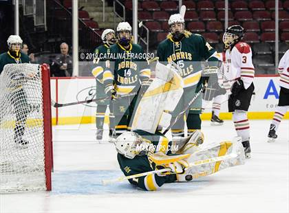Thumbnail 2 in Morris Knolls vs Hillsborough (NJSIAA Public A Final) photogallery.