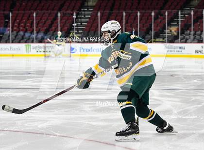 Thumbnail 1 in Morris Knolls vs Hillsborough (NJSIAA Public A Final) photogallery.