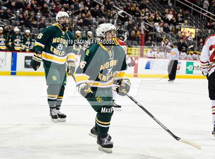 Thumbnail 3 in Morris Knolls vs Hillsborough (NJSIAA Public A Final) photogallery.