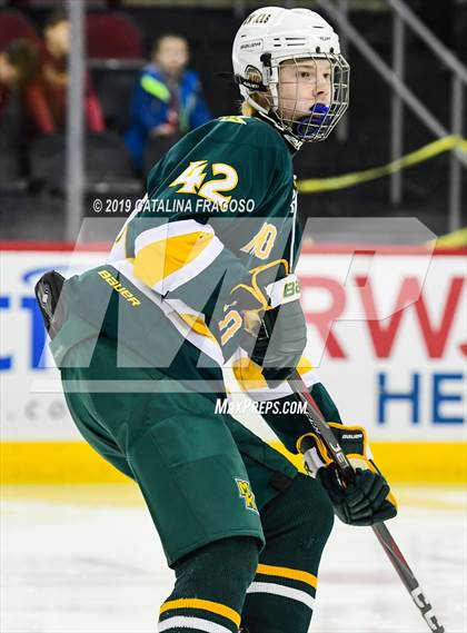 Thumbnail 1 in Morris Knolls vs Hillsborough (NJSIAA Public A Final) photogallery.