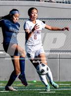 Photo from the gallery "Whitney @ West Park"