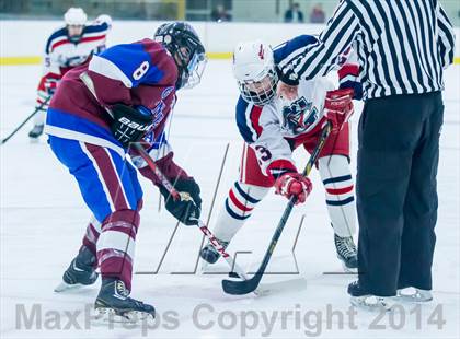 Thumbnail 1 in Farmington/Avon/Windsor @ Glastonbury photogallery.