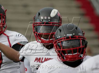 Thumbnail 1 in Palmetto @ Manatee photogallery.