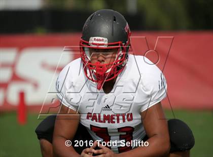 Thumbnail 2 in Palmetto @ Manatee photogallery.