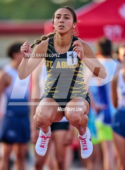 Thumbnail 1 in Eagle No Tax Relays (100M) photogallery.