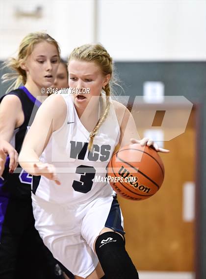 Thumbnail 1 in Community Christian vs Weatherford Christian (Barbara Ticzkus Memorial Tournament) photogallery.