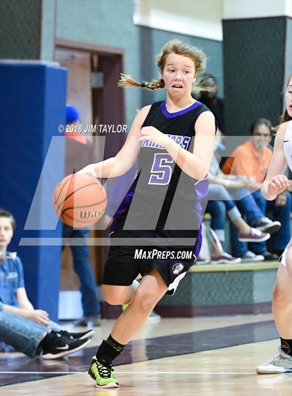 Thumbnail 1 in Community Christian vs Weatherford Christian (Barbara Ticzkus Memorial Tournament) photogallery.