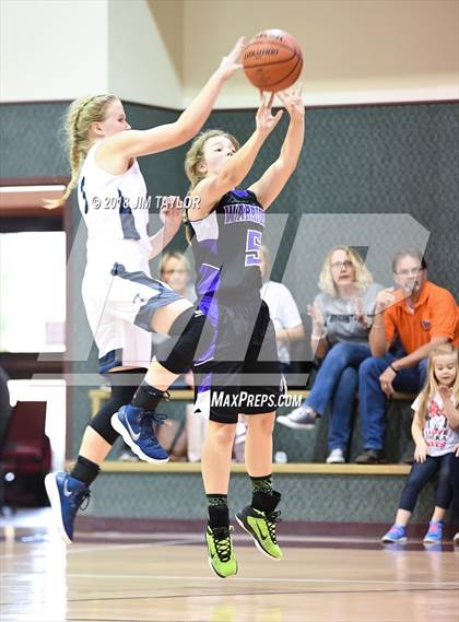 Thumbnail 1 in Community Christian vs Weatherford Christian (Barbara Ticzkus Memorial Tournament) photogallery.