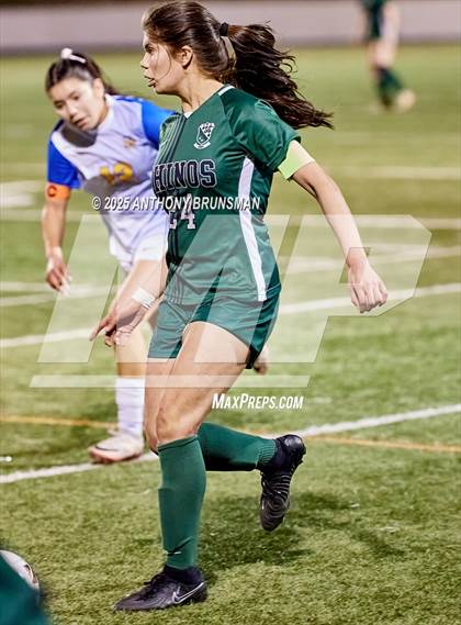 Thumbnail 1 in Lincoln vs. Twelve Bridges (CIF SJS D4 Final) photogallery.
