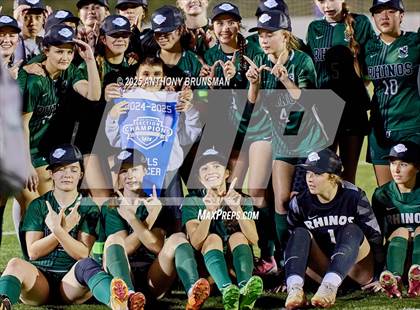 Thumbnail 2 in Lincoln vs. Twelve Bridges (CIF SJS D4 Final) photogallery.