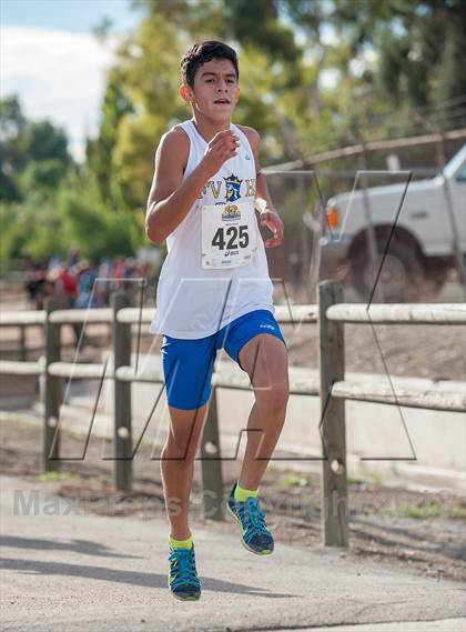 Thumbnail 3 in CIF SS Cross Country Championships (Boys D1) photogallery.