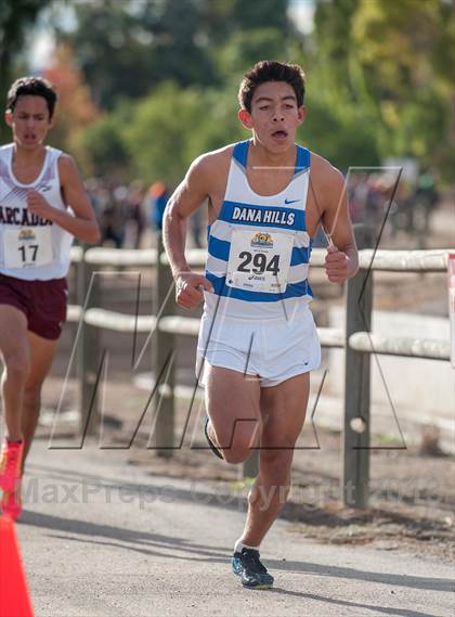 Thumbnail 2 in CIF SS Cross Country Championships (Boys D1) photogallery.