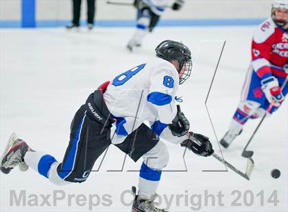 Thumbnail 1 in Columbine vs Cherry Creek photogallery.