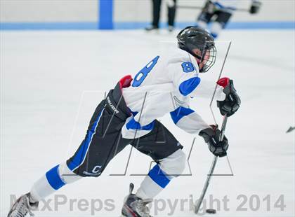 Thumbnail 3 in Columbine vs Cherry Creek photogallery.