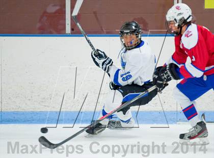 Thumbnail 3 in Columbine vs Cherry Creek photogallery.