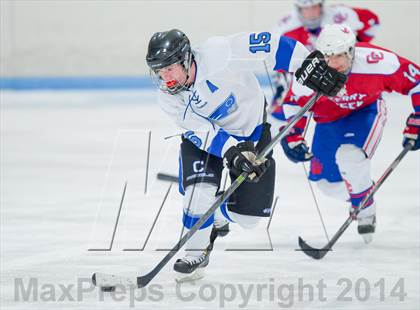 Thumbnail 3 in Columbine vs Cherry Creek photogallery.