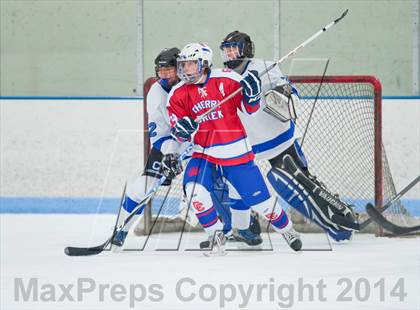 Thumbnail 3 in Columbine vs Cherry Creek photogallery.