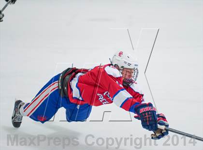 Thumbnail 2 in Columbine vs Cherry Creek photogallery.