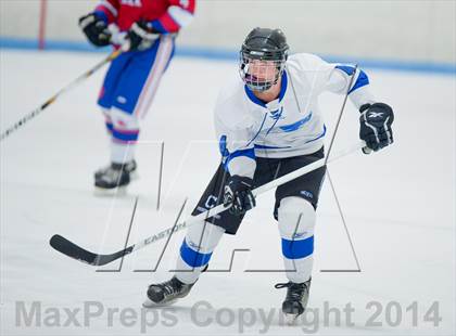 Thumbnail 2 in Columbine vs Cherry Creek photogallery.