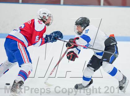 Thumbnail 3 in Columbine vs Cherry Creek photogallery.