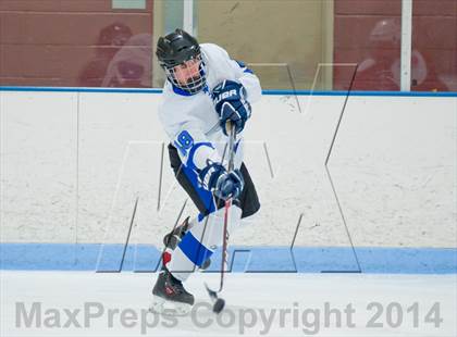 Thumbnail 3 in Columbine vs Cherry Creek photogallery.