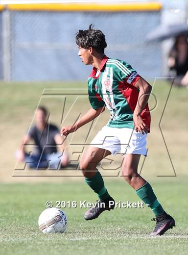 null - Photo 11