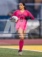 Photo from the gallery "Oakton @ Robinson"
