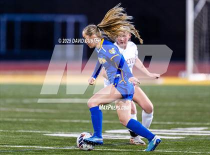 Thumbnail 3 in Oakton @ Robinson photogallery.