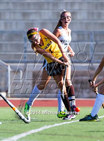 Thumbnail 3 in Serra @ Westview photogallery.