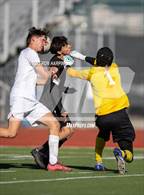 Photo from the gallery "Bishop Manogue @ Douglas"
